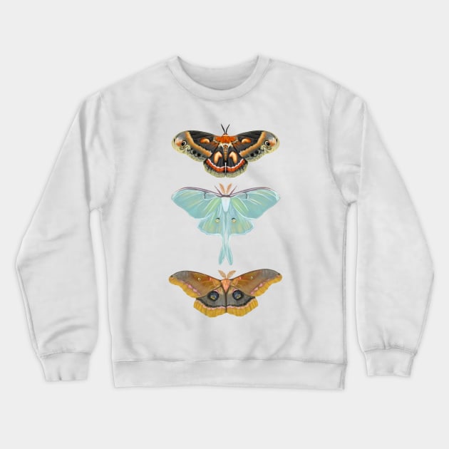 3 Moths Crewneck Sweatshirt by KatieMorrisArt